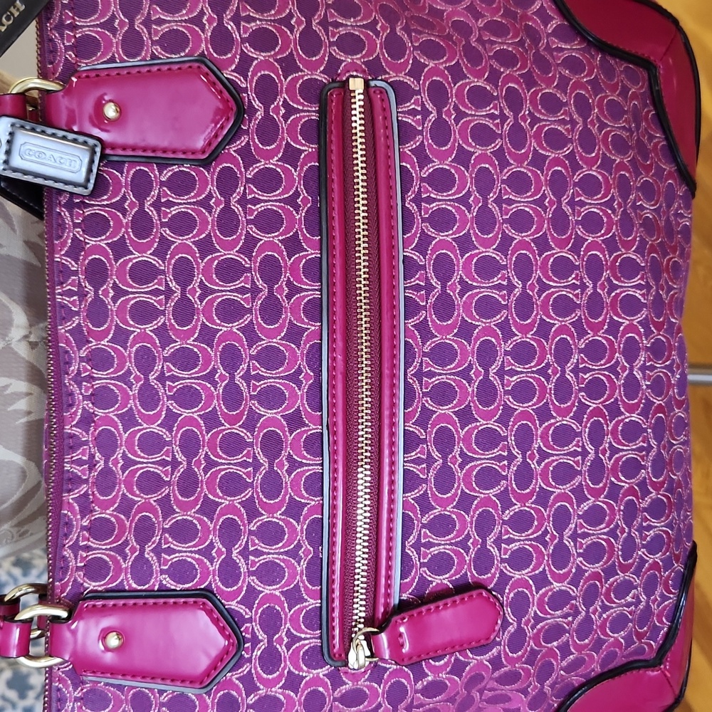 Coach Poppy Metallic Signature - Picture 6 of 15